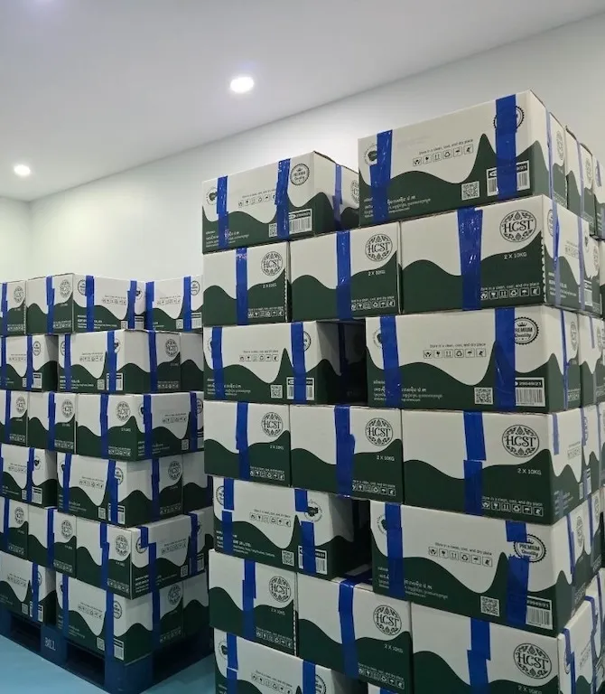 Stacked HCST-branded export cartons of Cambodian cashew kernels, sealed and palletised in the HCST warehouse
